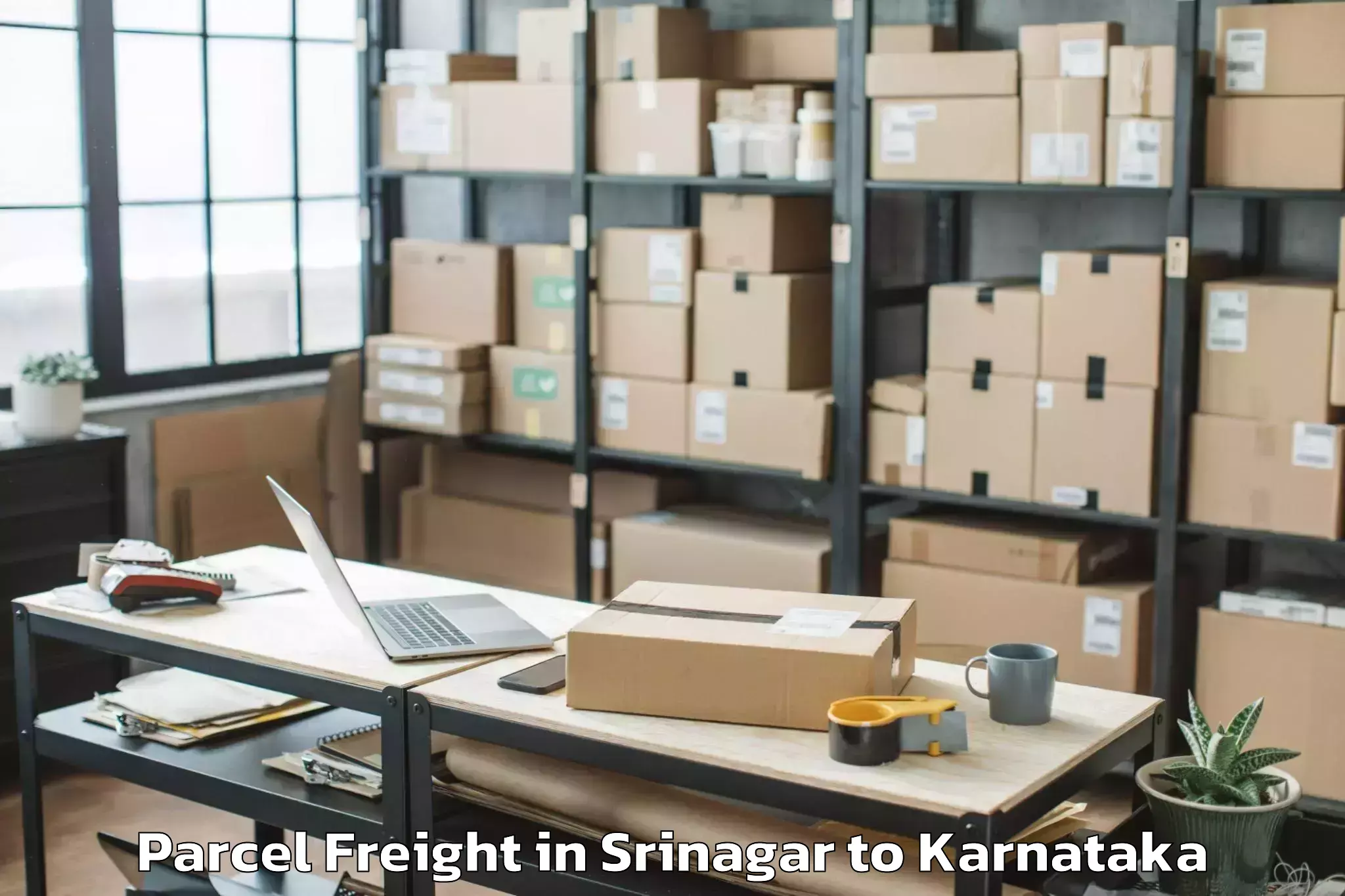 Top Srinagar to Chiknayakanhalli Parcel Freight Available